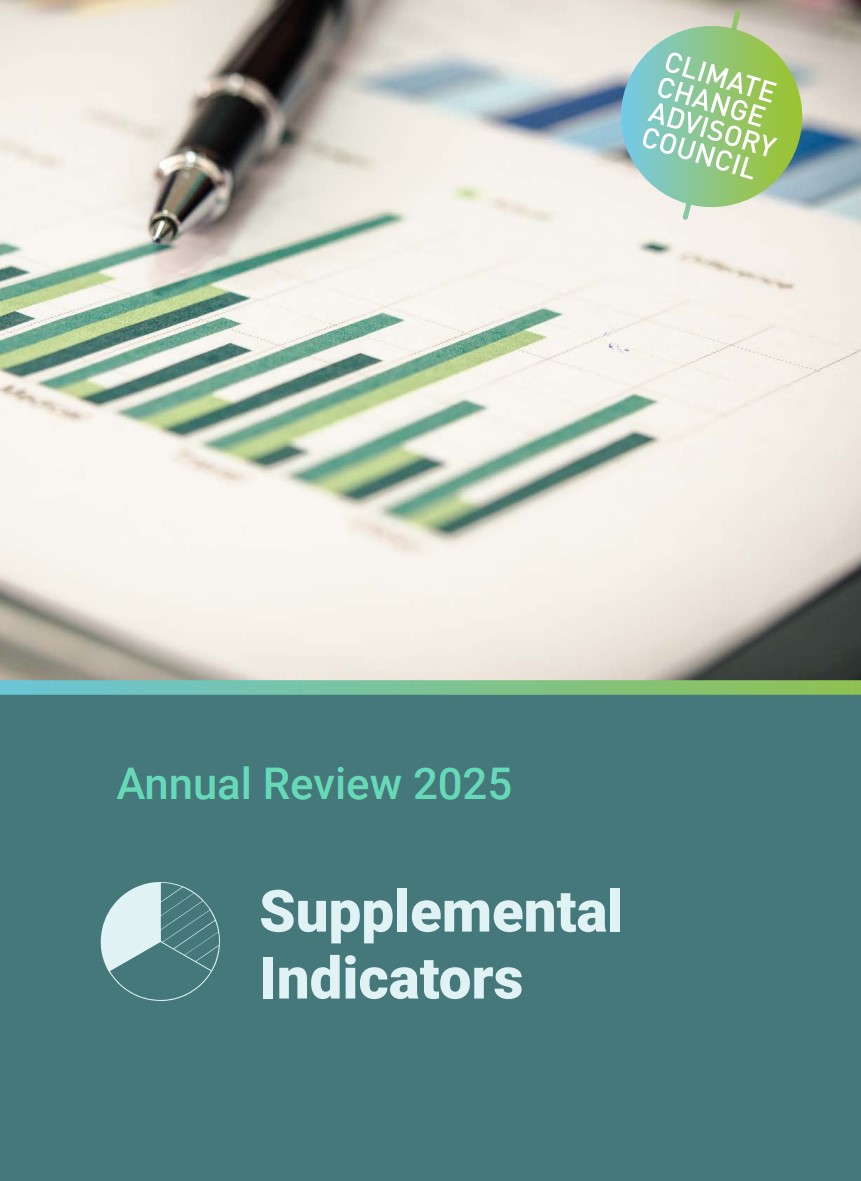 Annual Review 2025 - Supplemental Indicators